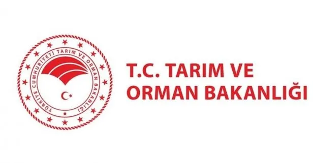 Tarım ve Orman Bakanlığı’ndan ‘Karaçam Ormanı’ açıklaması