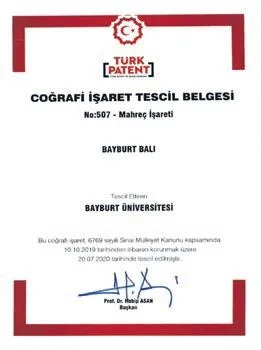 bayburt-universitesi-bayburt-ehraminin-ardindan-bayburt-balini-da-tescilletti-1607294287045.jpeg