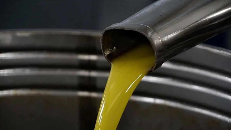 sahte-zeytinyagina-dikkat-uzmanlardan-gercek-zeytinyagini-anlamanin-3-kolay-yolu-1709925830978.jpg Uzmanlardan gerçek zeytinyağını anlamanın 3 kolay yolu! Sahte zeytinyağına dikkat!-2