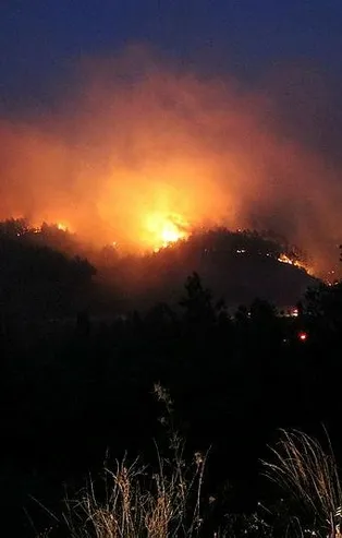 Aydın'ın Çine ve Söke ilçelerinde yangın!