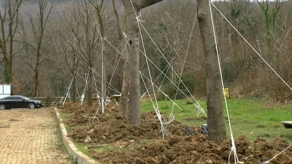 Maçka Parkı’ndan ağaç taşıma işlemi sona erdi-3