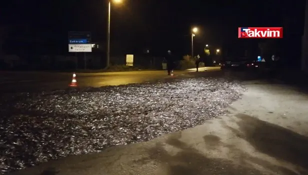 Arka kapağı açılan tırdan tonlarca hamsi yola saçıldı