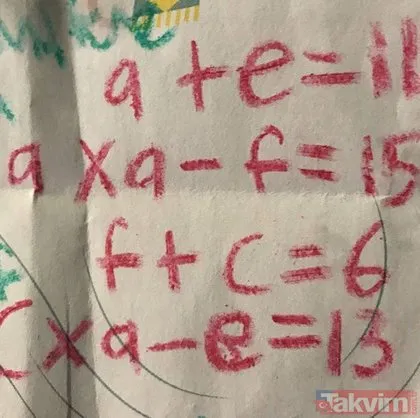Bu denklemi 9 yaşında bir çocuk yazdı! Kimse çözemiyor, aklın sınırlarını zorluyor