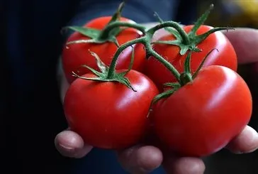 İstanbullular en çok domates ve karpuz tüketti