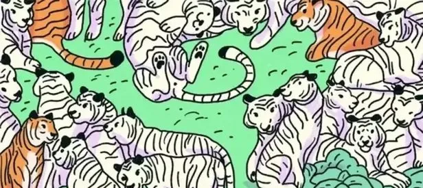 Resimdeki zebrayı bulduysan hafızan en muhteşem derecede çıkıyor