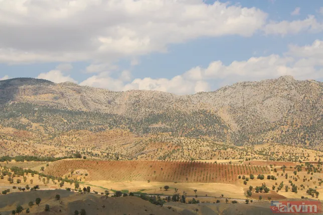 Bir dönem PKK'nın yuvalandığı Gabar ve Cudi dağlarında artık terörist değil fıstık yetişiyor