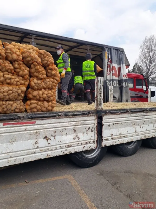 Başkan Erdoğan talimat vermişti! Çiftçiden alınan patatesler ihtiyaç sahibi vatandaşlara dağıtılmaya başlandı - 8