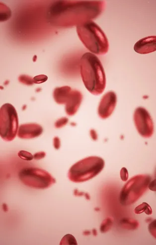 Kansızlığın 10 belirtisi!