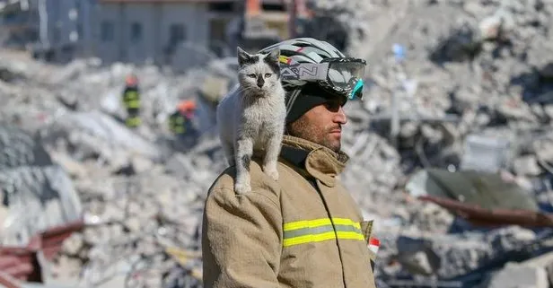 Kahramanmaraş merkezli depremde göçük altından çıkarılan kedinin adı Enkaz oldu