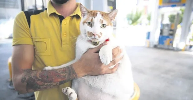 Adı minik kendi obez