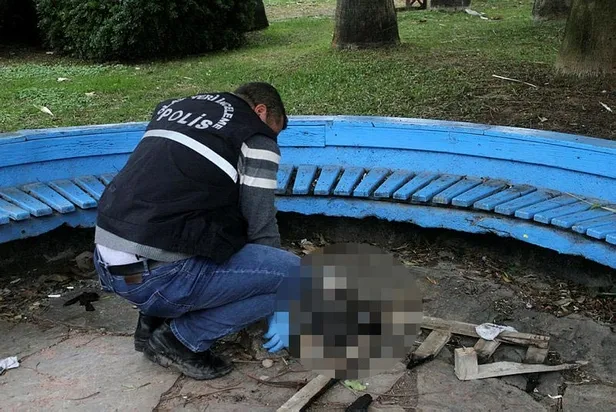 Antalya'da 'Pes' dedirten olay! Kediyi yakarak öldürdüler-2