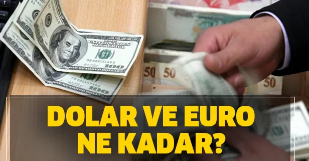 24 nisan canli dolar ve euro alis