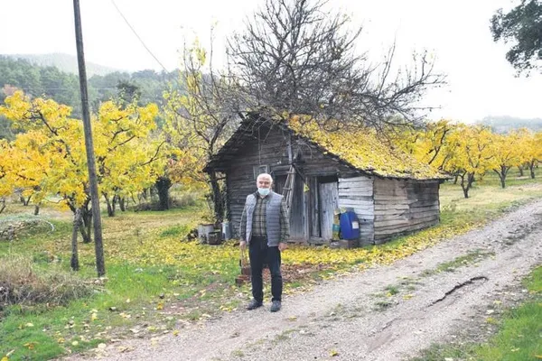 Sağlık Bakanı Fahrettin Koca kısıtlamanın ikinci haftasında güzel haberler verdi-7