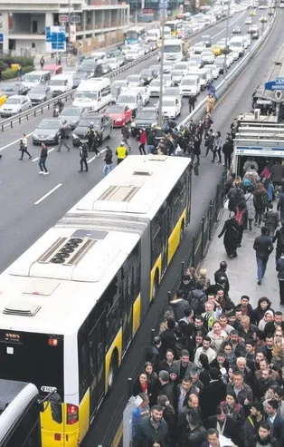 Metrobüs hare'kedi'