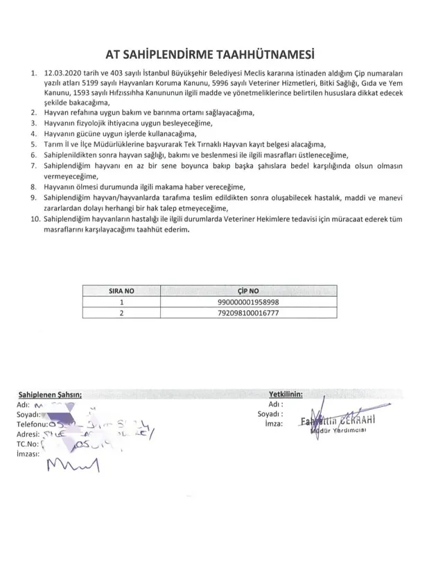 chpli-ekrem-imamoglu-ve-ibbnin-bir-yalani-daha-patladi-ak-parti-kayip-978-at-ile-ilgili-gercekleri-desifre-etti-1620838762072.jpeg CHP'li Ekrem İmamoğlu ve İBB'nin bir yalanı daha patladı: AK Parti kayıp 978 at ile ilgili gerçekleri deşifre etti-5