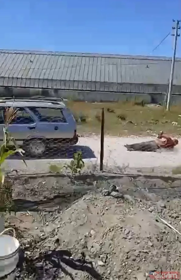 Akıllara durgunluk veren olay! Köpeğine zarar veren adamı otomobile bağlayıp metrelerce sürükledi | Bakan açıkladı: Şüpheli tutuklandı - 1