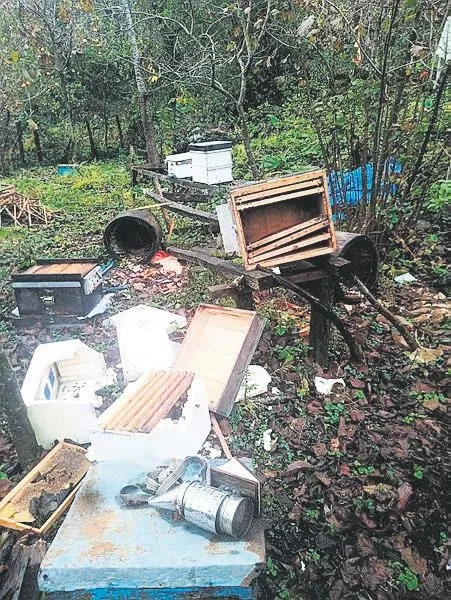 Avukat mağduru oldu 3 yılda 600 bin lira kaybetti!-2