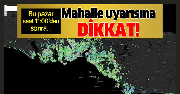65 yaş ve üzeri vatandaşlar 10 Mayıs'ta sokağa çıkabilecek! Mahalle uyarısına dikkat!