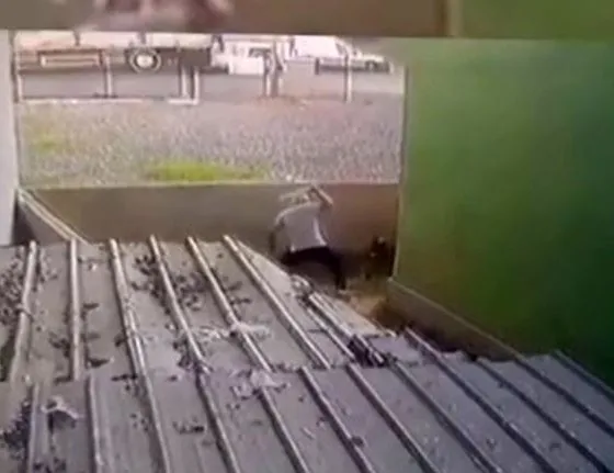 Köpeği sopa ile öldüresiye dövdü