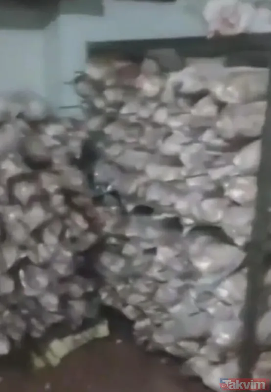 Sosyal medya bu videoyu konuşuyor! Kokoreç imalathanesinde çekilen görüntülerle ilgili flaş gelişme - 7