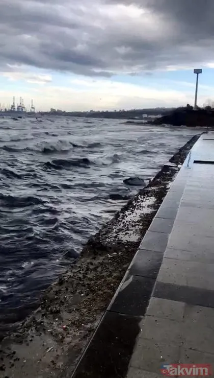 Avcılar’da deniz metrelerce çekildi! Görülmeyen kayalıklar ortaya çıktı! İstanbul’un depreme dayanıklı ilçeleri...