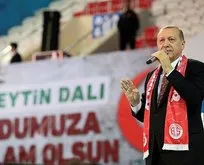 Erdoğan: Bazı yanlış örnekleri büyüterek milletimizin inancına saldırıyorlar