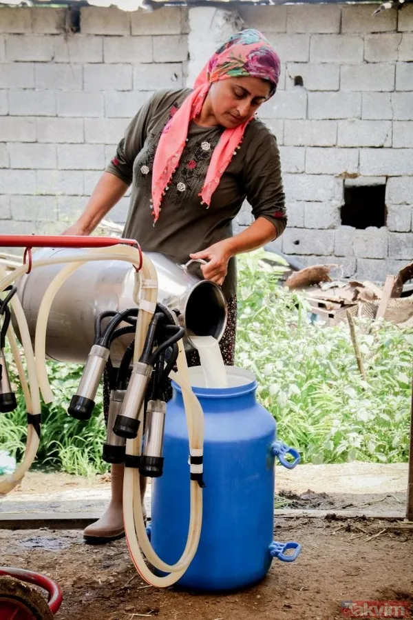 Evde canı sıkılan kadın 4 bileziğini satıp hayvancılık işine girdi! 5 milyon liralık servet sahibi oldu - 17