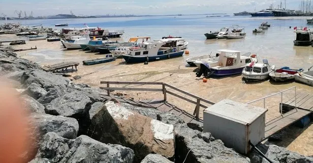 SON DAKİKA: Pendik Marina’da deniz salyası nedeniyle suyun yüzeyi görünmüyor