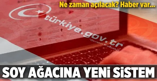 Alt üst soy ağacı bilgisi (soy ağacı öğrenme) sorgulama sıralı olacak