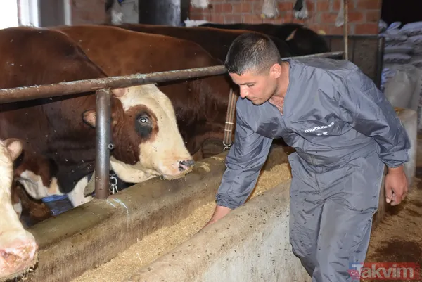 Devlet teşvikiyle 20 büyükbaş alarak çiftlik kurdu üretimi 2 yılda 10 katına çıkardı - 7
