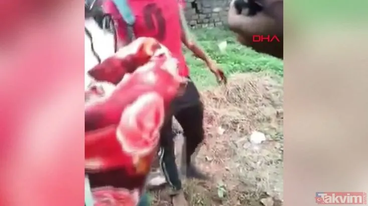 Hindistan’da kan donduran görüntü! Kız bebeği canlı canlı gömmek isteyen dedeye suçüstü