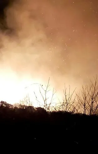 Karadeniz'deki orman yangınlarını terör örgütü PKK üstlendi!