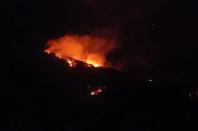 Adana’da orman yangını