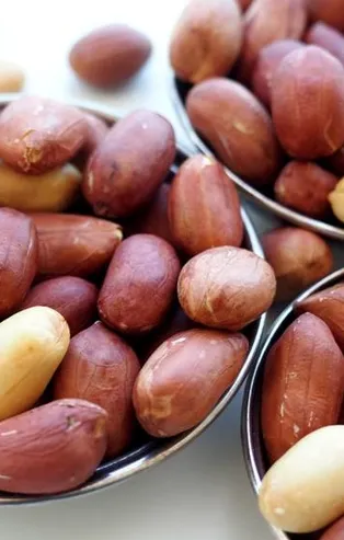 Rüyada fıstık görmek ne anlama gelir?