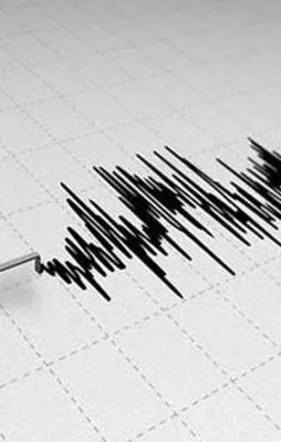 ABD'de şiddetli deprem