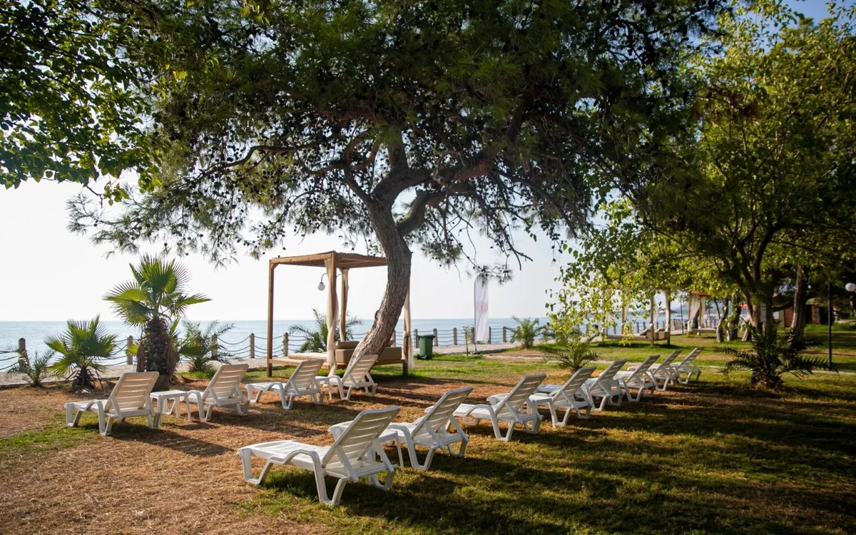 kultur-ve-turizm-bakanligindan-bitlisten-samsuna-3-yeni-halk-plaji-yolda-1778484905238.jpg Kültür ve Turizm Bakanlığı'ndan 3 yeni halk plajı daha: Ücretsiz hizmette sayı 23’e çıktı-4