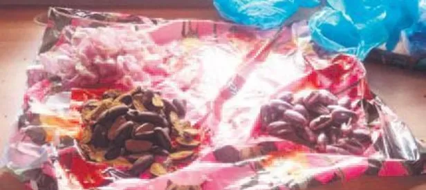 Midesinden 3 kilo esrar çıktı