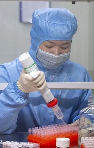 Çin itiraf etti! "Örnekleri imha ettik"