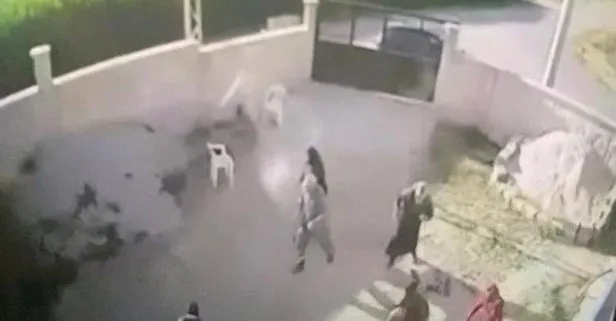 Konya katliamı videosu izleyenleri şok etti!