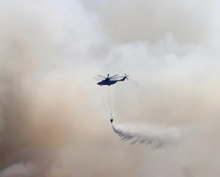 Türkiye’nin orman yangınlarıyla mücadele stratejisi ne?