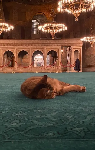 Gli, Ayasofya Camisi'ne kavuştu