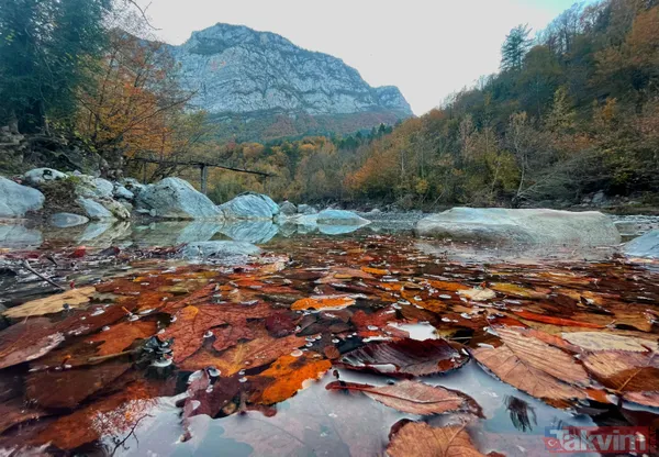 Dünyanın en derin ikincisi! Kastamonu'da büyüleyici manzara! Loç Vadisi ziyaretçilerini bekliyor - 6