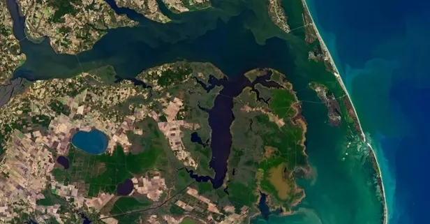 NASA hayalet ormanı uzaydan görüntüledi! Bilim insanları şaşkın