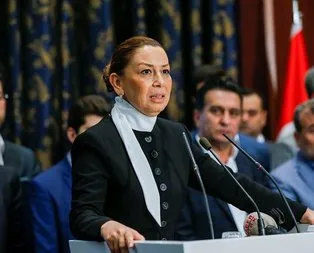 Hainler şimdi köşeye sıkıştı
