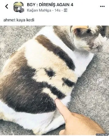 istedigini-yap-diyen-ama-aslinda-istemeyen-insan-1777665102883.jpeg