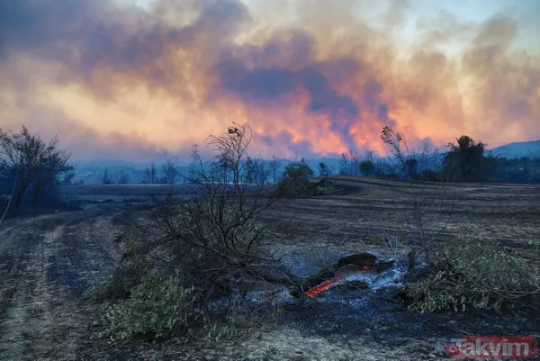 Antalya Manavgat'ta yangın felaketi! Acı haber geldi: 3 kişi hayatını kaybetti - 10