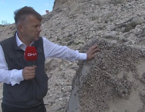 İstanbul barajlarında korkutan görüntü