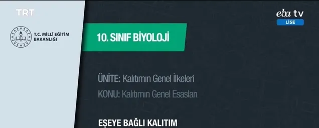 10. Sınıf - Biyoloji Dersi - Konu: Eşeye Bağlı Katılım 30.03.2020 Pazartesi