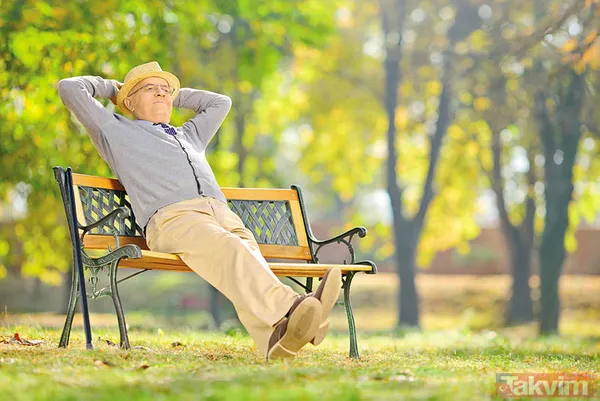 Emeklilik başvurusu yapanlar dikkat! Emekli maaşı 90 gün içinde bağlanmayanlara avans müjdesi - 2