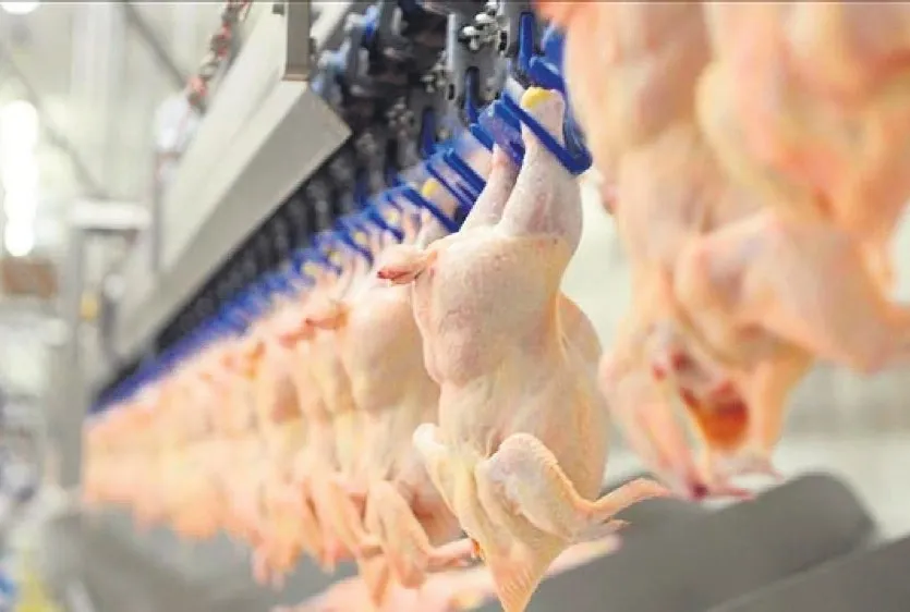 Beyaz et devlerine 3.7 milyar TL ceza